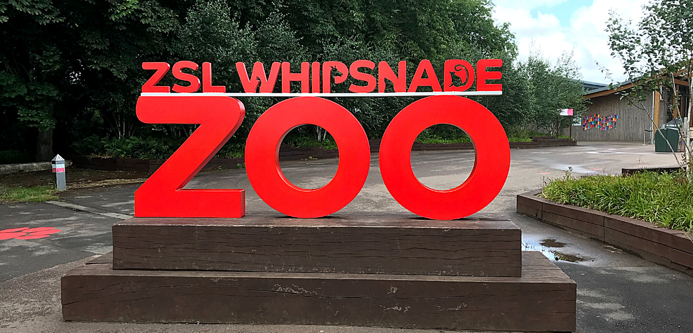 What is ZSL Whipsnade Zoo like for a day out? – Ears and Ideas